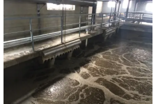 食品工業(yè)廢水的來源、特點及危害